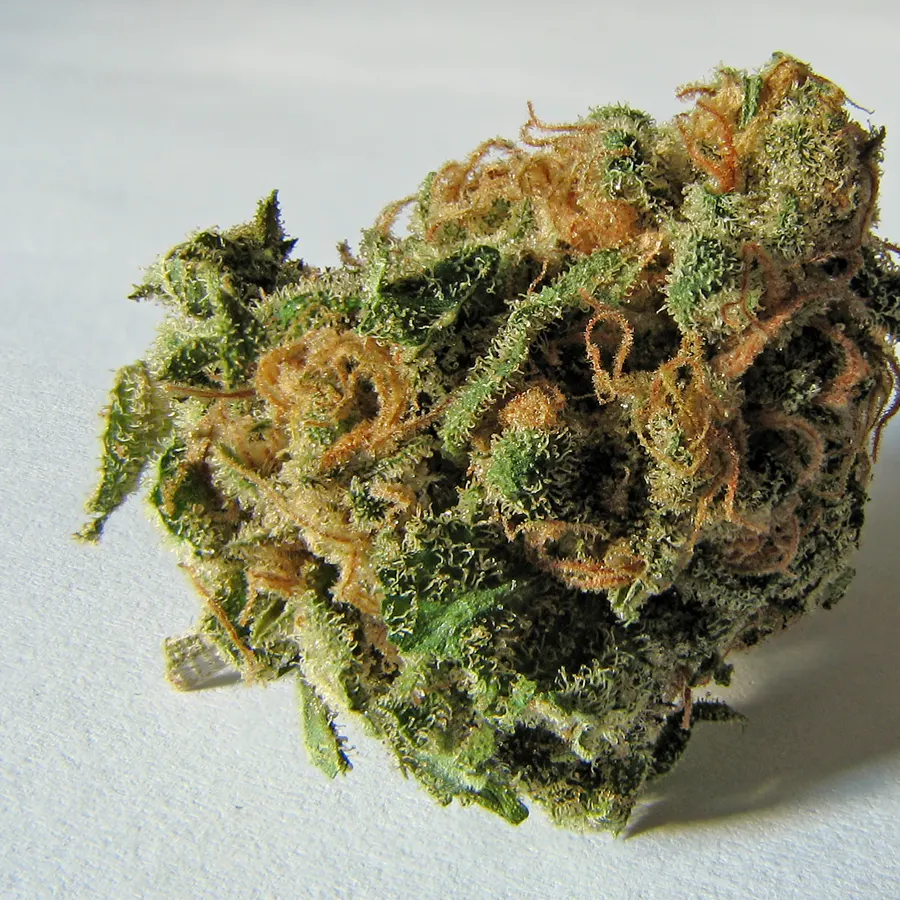 Cannabis flower